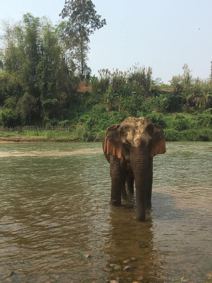 36716488_10156640540684114_375172346857652224_n