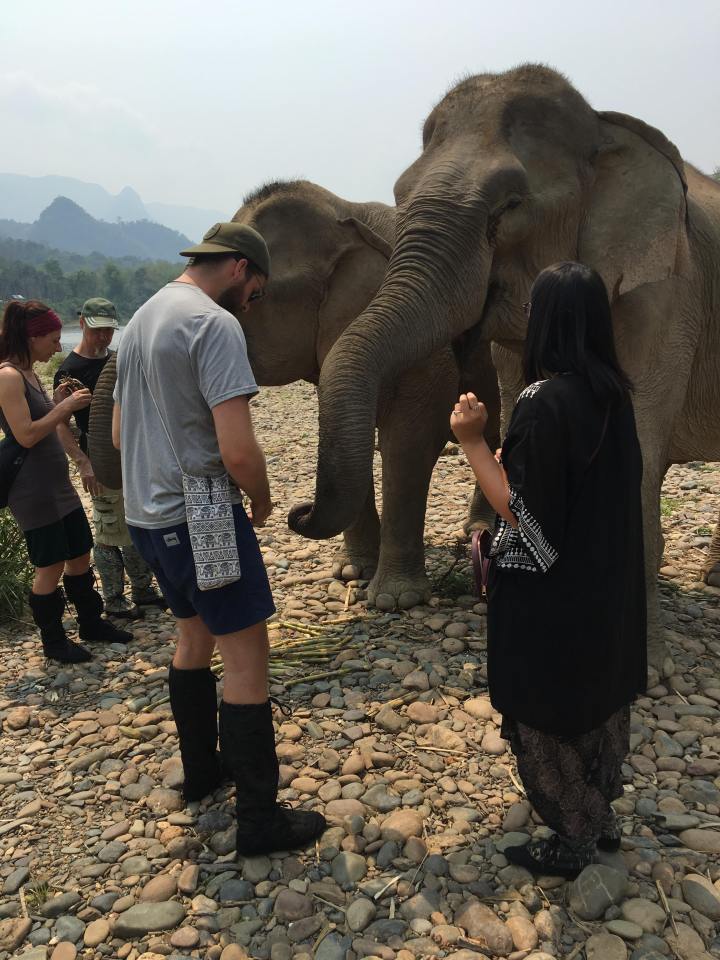 36829572_10156640540504114_2435823936659783680_n